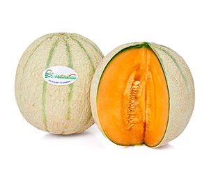 Cantaloup Melonen